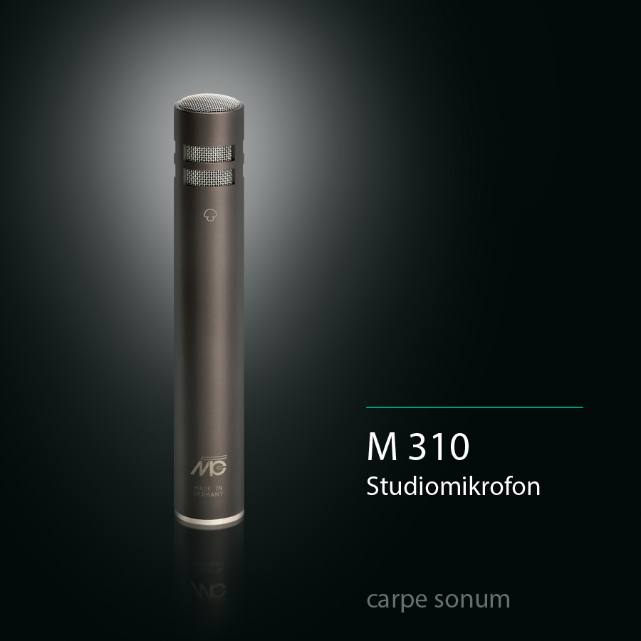 M 310
